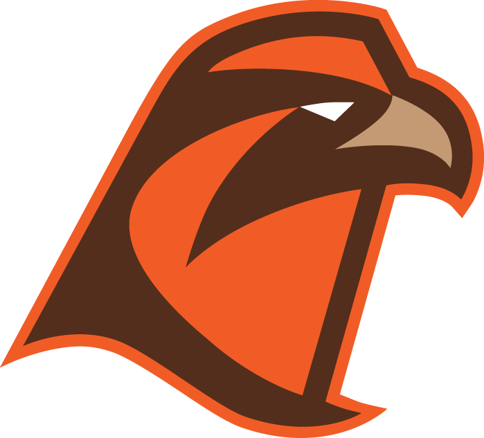 Bowling Green Falcons 2006-Pres Alternate Logo v7 iron on transfers for clothing